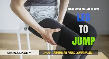 Why Your Leg Muscles Twitch: Causes and Solutions Explained