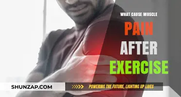 Understanding Post-Workout Muscle Pain: Causes and Remedies Explained