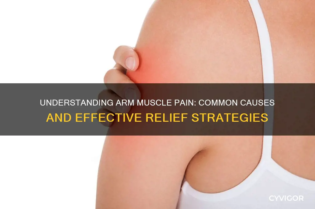 what cause muscle pain in arms