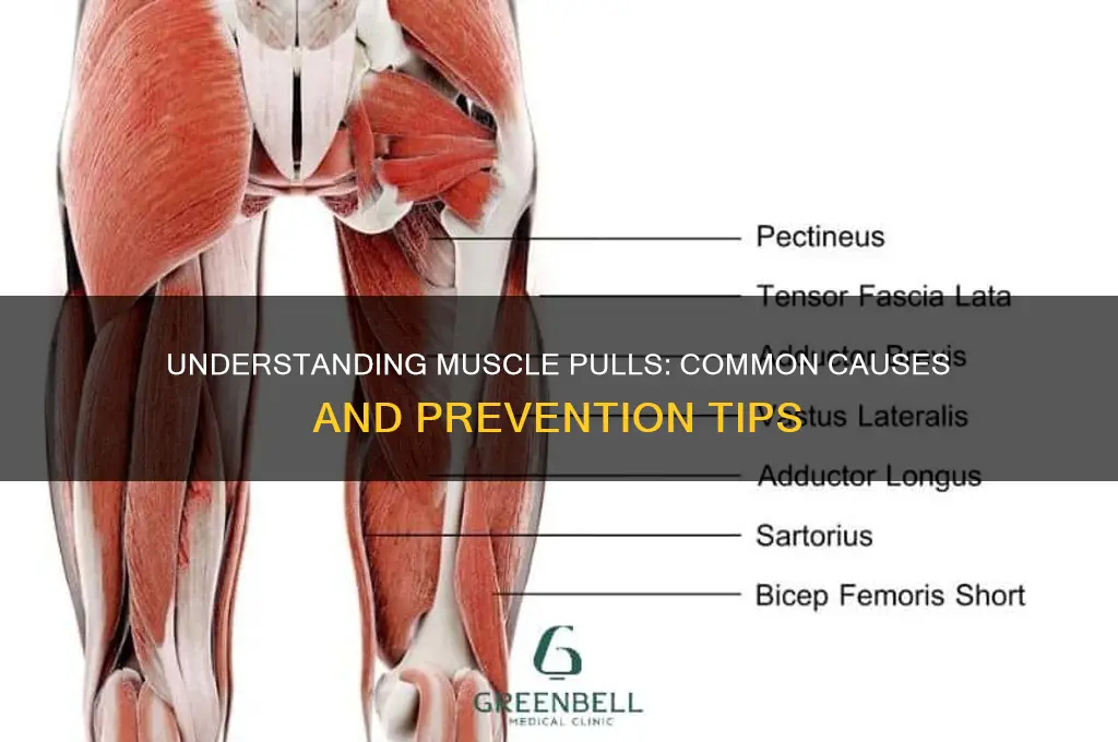 what cause muscle pull