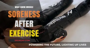Understanding Post-Workout Muscle Soreness: Causes and Effective Recovery Tips