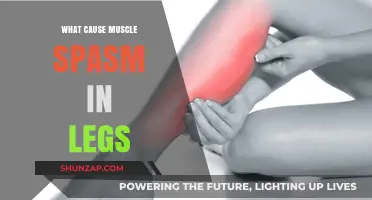 Understanding Leg Muscle Spasms: Common Causes and Prevention Tips