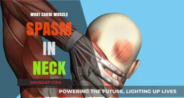 Understanding Neck Muscle Spasms: Common Causes and Effective Relief Strategies