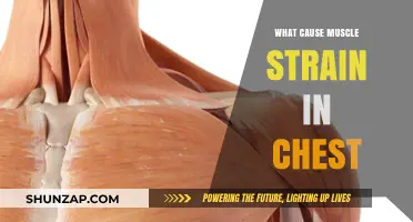 Understanding Chest Muscle Strain: Causes, Symptoms, and Prevention Tips