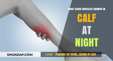 Why Do Calf Muscles Cramp at Night? Causes and Relief Tips