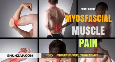 Understanding Myofascial Muscle Pain: Causes and Triggers Explained