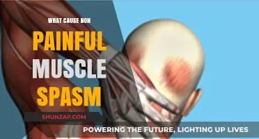 Understanding Non-Painful Muscle Spasms: Causes and Contributing Factors
