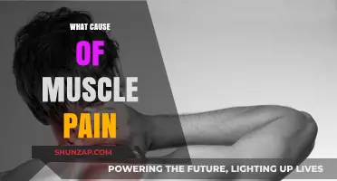 Understanding Muscle Pain: Common Causes and Effective Relief Strategies