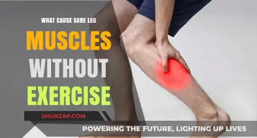 Why Your Leg Muscles Ache Without Exercise: Uncovering Hidden Causes