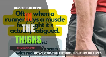 Why Your Thigh Muscles Ache: Causes and Remedies Explained