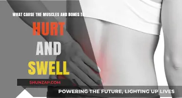 Understanding Muscle and Bone Pain: Causes of Swelling and Discomfort
