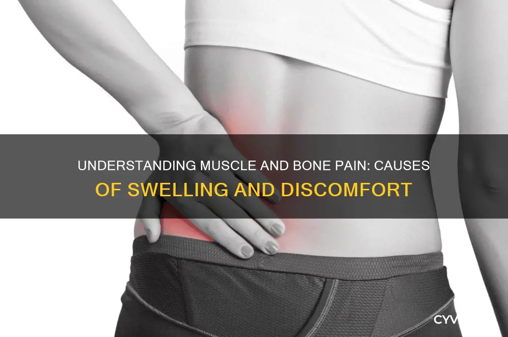 what cause the muscles and bones to hurt and swell