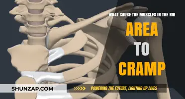 Rib Muscle Cramps: Causes and Triggers Explained