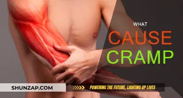 Understanding Muscle Cramps: Causes and Prevention