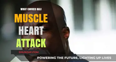 Kali Muscle's Heart Attack: Uncovering the Shocking Causes and Lessons