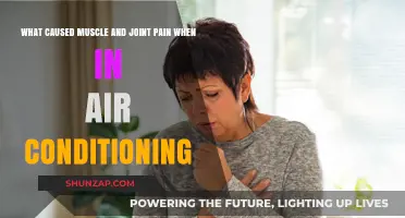 Why Air Conditioning Triggers Muscle and Joint Pain: Causes Explained