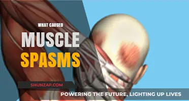 Understanding Muscle Spasms: Causes, Triggers, and Prevention Strategies