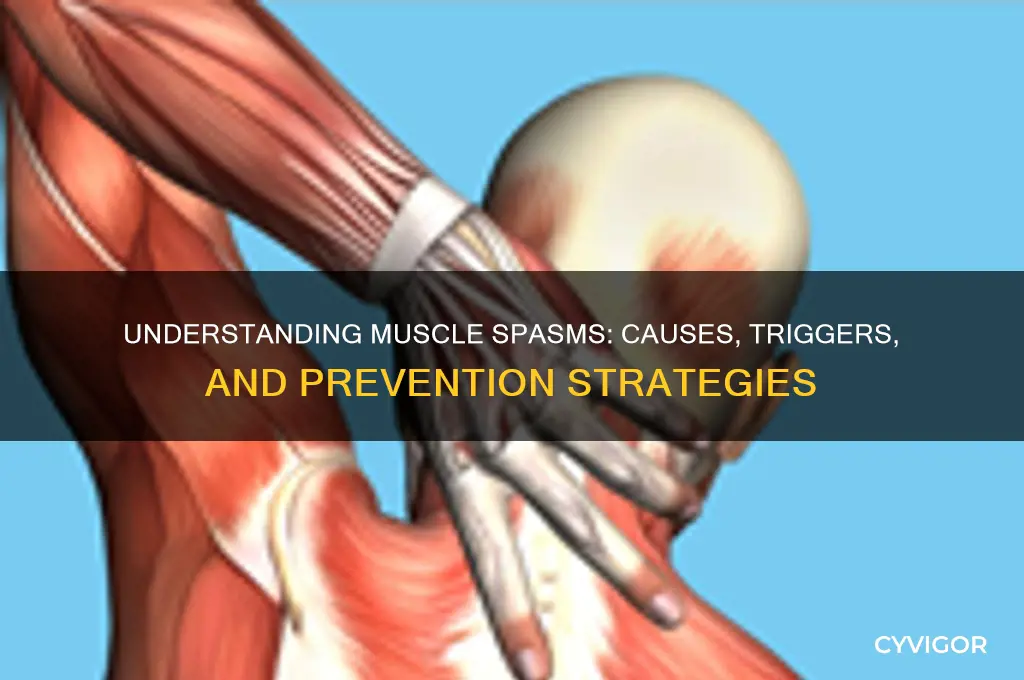 what caused muscle spasms