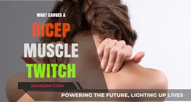 Understanding Bicep Muscle Twitch Causes and Effective Remedies