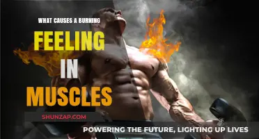 Burning Muscles: Unraveling the Causes of Uncomfortable Workout Sensations