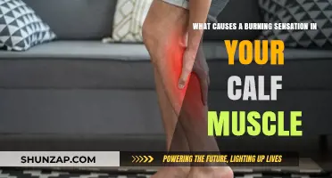 Burning Calf Muscles: Causes and Remedies for Leg Discomfort
