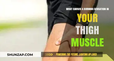 Burning Thigh Muscles: Causes, Triggers, and Effective Relief Strategies