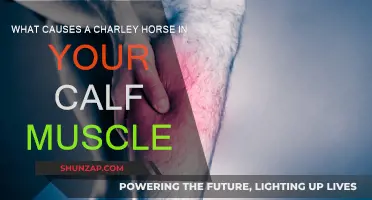 Understanding Charley Horses: Calf Muscle Spasms Explained