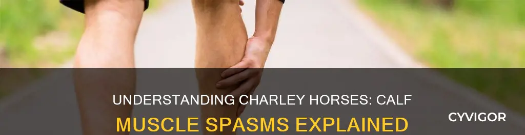 what causes a charley horse in your calf muscle