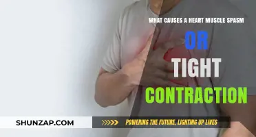 Understanding Heart Muscle Spasms: Causes of Tight Contractions Explained