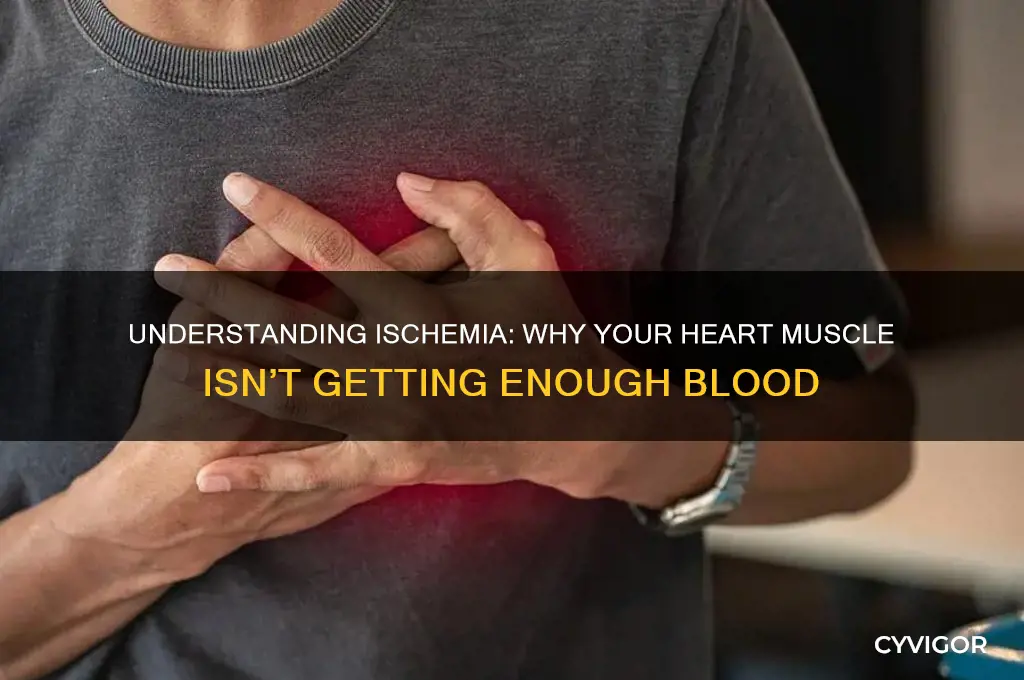 what causes a heart muscle to not get enough blood