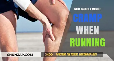 Understanding Muscle Cramps: Causes and Prevention During Running