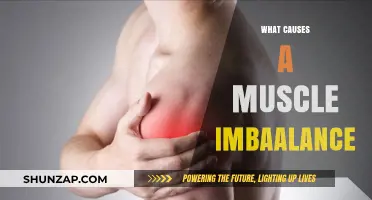 Understanding Muscle Imbalances: Causes, Prevention, and Effective Correction Strategies