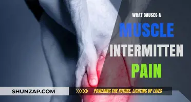 Understanding Intermittent Muscle Pain: Causes and Triggers Explained