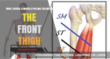 Front Thigh Muscle Pulling: Causes, Prevention, and Relief Strategies