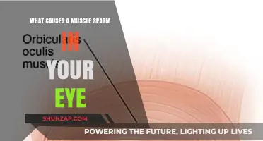 Understanding Eye Muscle Spasms: Causes and Triggers Explained