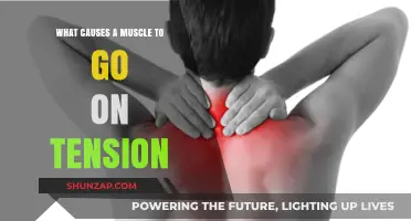 Understanding Muscle Tension: Causes and Triggers Explained