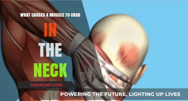Understanding Neck Muscle Spasms: Causes and Triggers Explained