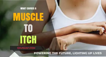 Why Muscles Itch: Uncovering the Surprising Causes and Triggers