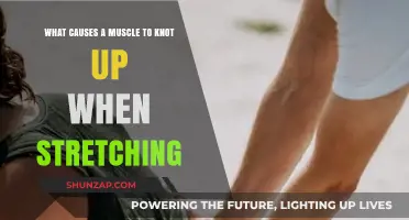 Why Muscles Knot During Stretching: Causes and Prevention Tips