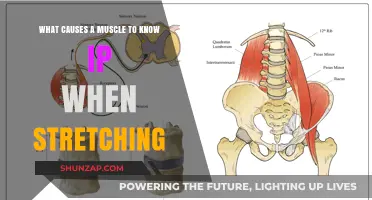 Understanding Muscle Sensitivity: Why Stretching Triggers the 'Know IP' Response