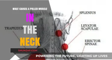 Understanding Pulled Neck Muscles: Causes, Prevention, and Quick Relief Tips