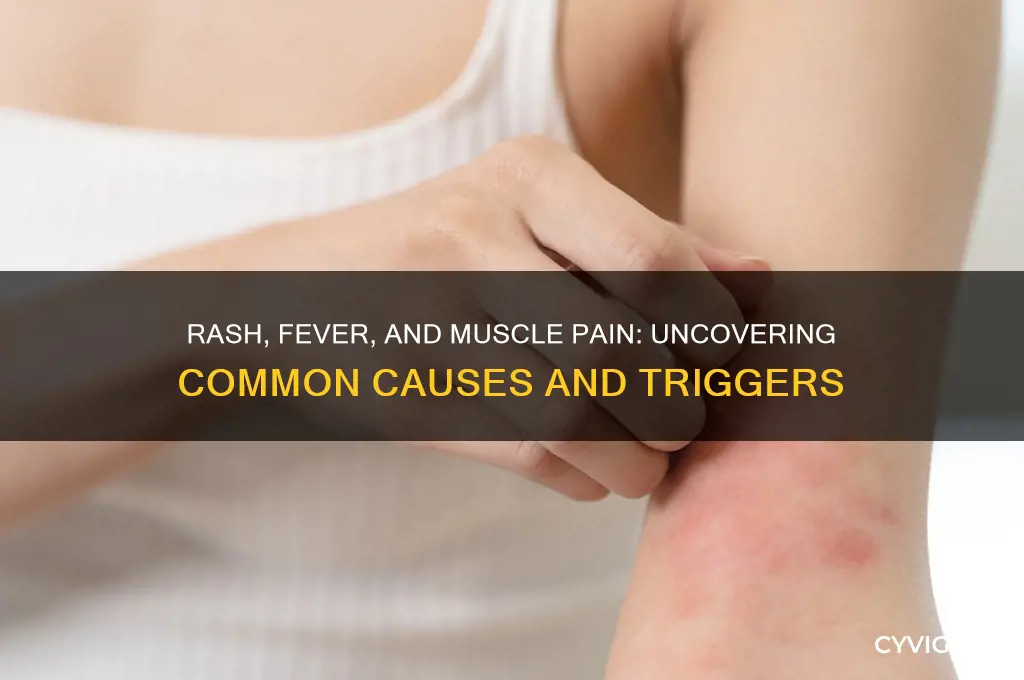what causes a rash fever and sore muscles