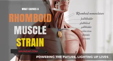 Understanding Rhomboid Muscle Strain: Causes, Symptoms, and Prevention Tips