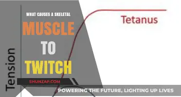 Understanding Skeletal Muscle Twitch: Causes and Mechanisms Explained
