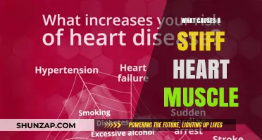 Understanding the Causes of a Stiff Heart Muscle: Key Factors Explained