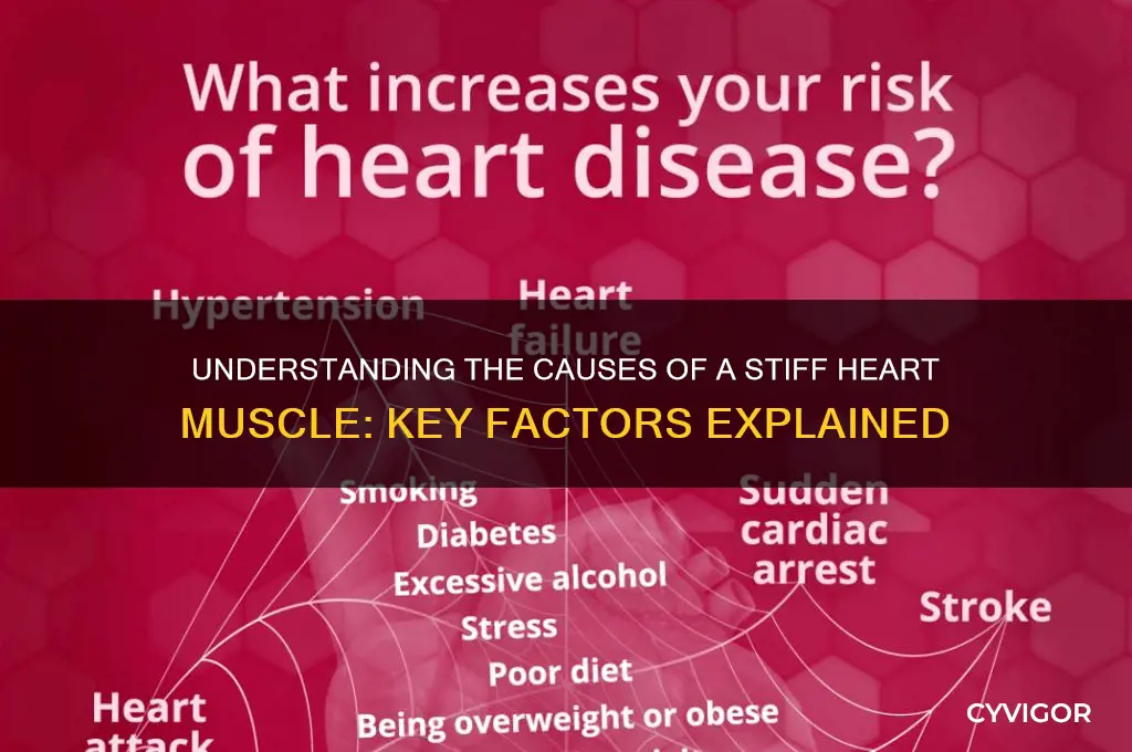 what causes a stiff heart muscle