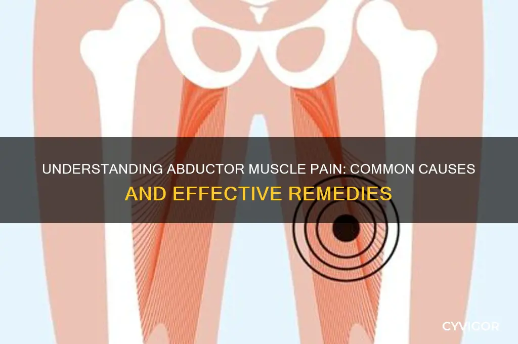 what causes abductor muscle pain