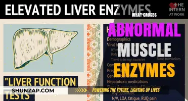 Unraveling the Causes of Abnormal Muscle Enzymes: Key Factors Explained