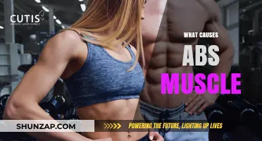 Unveiling the Key Factors Behind Developing Visible Abs Muscles