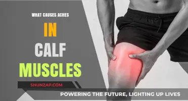 Understanding Calf Muscle Aches: Causes, Prevention, and Relief Strategies